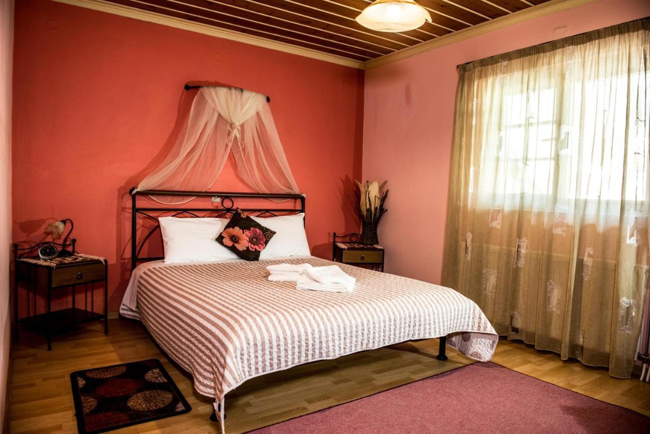 קוניטסה Guesthouse To Tzaki מראה חיצוני תמונה